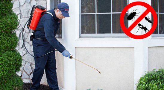 Tavas Tahtakurusu İlaçlama böcek ilaçlama ve haşere kontrolü — ilaclama-tr.com